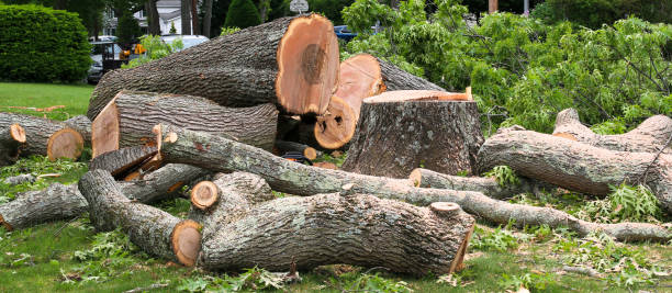 Best Tree Mulching  in Wading River, NY