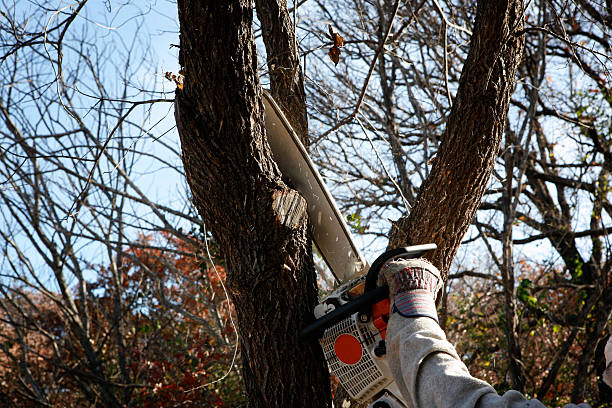 Soil Testing and Treatment in Wading River, NY